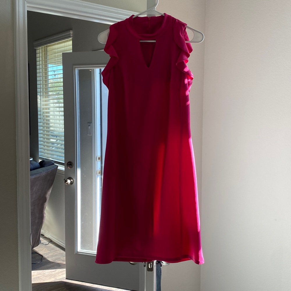 Pink Joan dress NWT